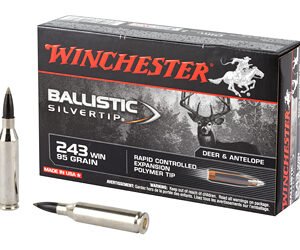 WIN BLSTC TIP 243WIN 95GR 20/200